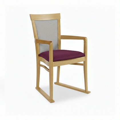 Elice Dining Chair with Skis