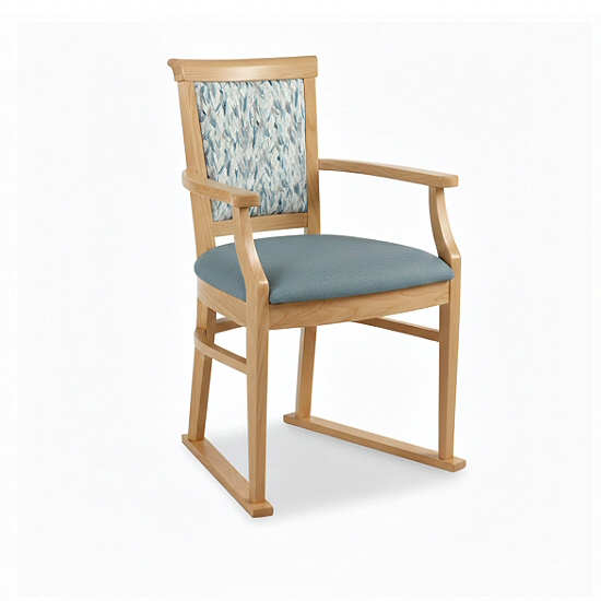 Nice Dining Chair with Skis