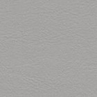 Colour Heaven GUNSMOKE: Faux Leather [PG1]